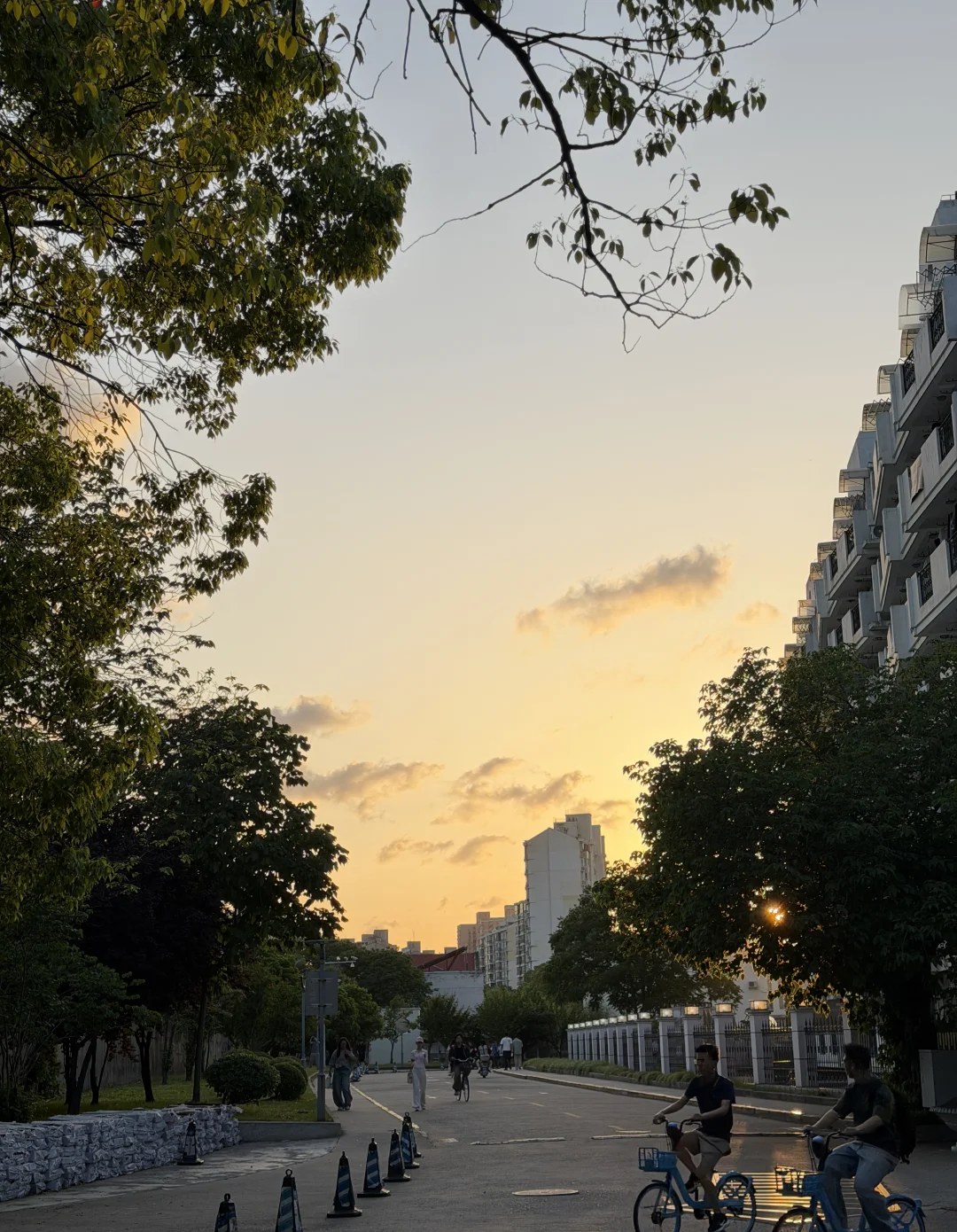 黄昏的街道上，有人骑车经过